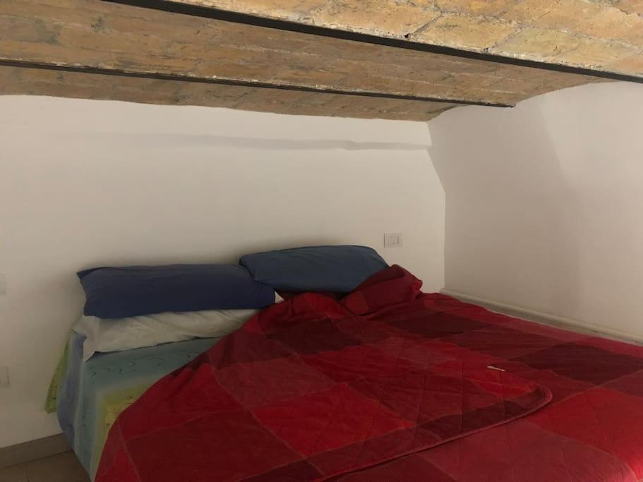 Nido Moderno Centro Citta Appartamento *